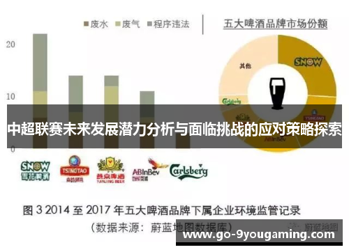 中超联赛未来发展潜力分析与面临挑战的应对策略探索