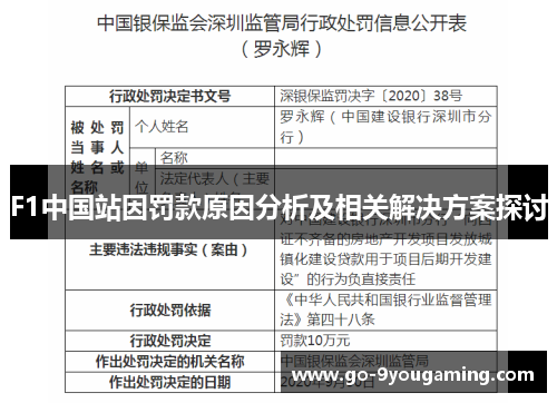 F1中国站因罚款原因分析及相关解决方案探讨