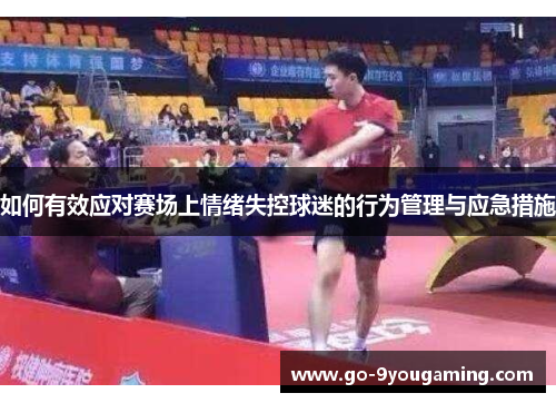 如何有效应对赛场上情绪失控球迷的行为管理与应急措施