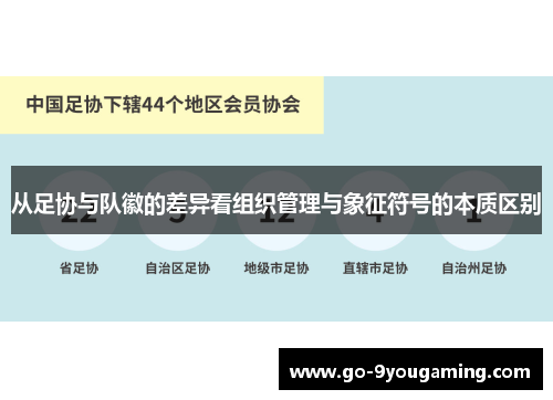 从足协与队徽的差异看组织管理与象征符号的本质区别