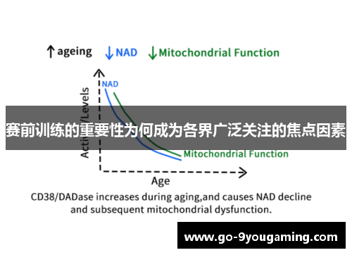 赛前训练的重要性为何成为各界广泛关注的焦点因素