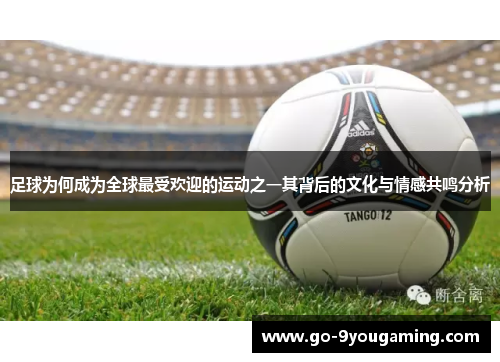 足球为何成为全球最受欢迎的运动之一其背后的文化与情感共鸣分析