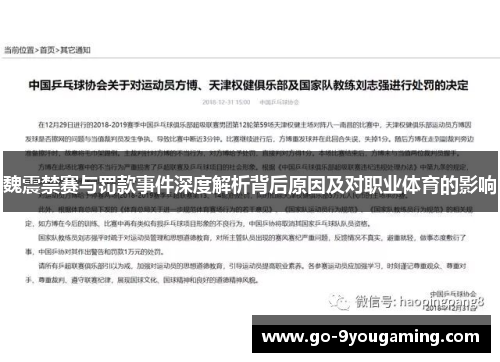 魏震禁赛与罚款事件深度解析背后原因及对职业体育的影响