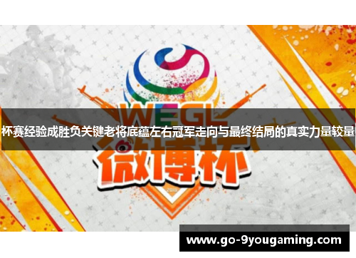 杯赛经验成胜负关键老将底蕴左右冠军走向与最终结局的真实力量较量