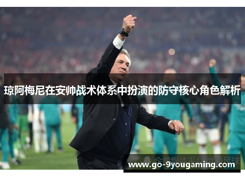 琼阿梅尼在安帅战术体系中扮演的防守核心角色解析